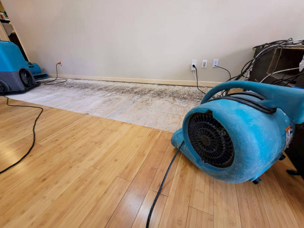 Professional Water Removal technician working in Grafton, NH